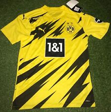 Signiertes bvb spielertrikot gebraucht kaufen  Ibbenbüren