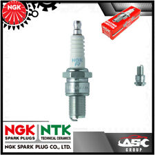Ngk spark plug for sale  COLERAINE