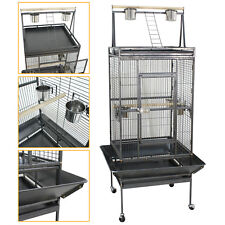 Large bird parrot for sale  Fontana
