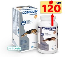 Cosequin advanced cane usato  Arborea