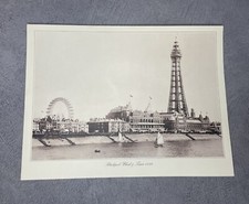 12x9 inch print for sale  NEWPORT