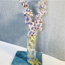 Hand blown tall for sale  USA