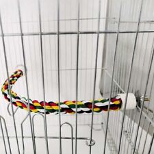 Pet parrot bird for sale  HATFIELD
