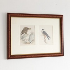 Antique victorian lithograph for sale  BURNLEY
