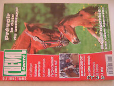Cheval santé haflinger d'occasion  Licques