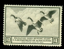 Stamps collection lot for sale  Marlborough