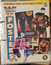 Wwf magazin posters gebraucht kaufen  Marienberg, Pobershau