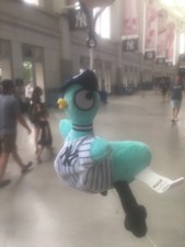Yankees willems pigeon for sale  Brooklyn