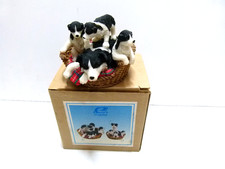 Border collie pups d'occasion  Expédié en Belgium