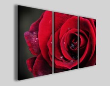 Quadri rosa rossa usato  Pontecagnano Faiano