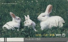 Rare japan balken gebraucht kaufen  Lingen (Ems)