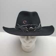 Charlie horse cowboy for sale  Weiner