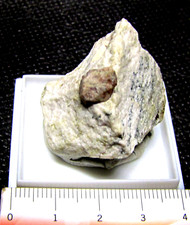Minerali perfetto grande usato  Novara