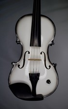 acoustic electric violin barcus berry for sale  Miami