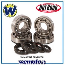 Kit cuscinetti paraolio usato  Italia