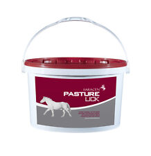 Saracen pasture lick for sale  DARLINGTON