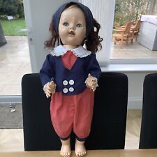 Pedigree hard plastic for sale  KETTERING