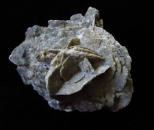 Barite desert rose for sale  East Aurora