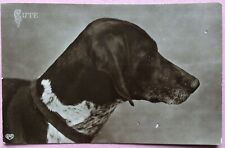 Vintage dog postard for sale  LOUTH