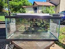 40 gallon fish tank for sale 40 gallon fish tank for sale Taylor