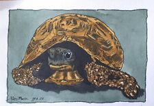 Riginalzeichnung turtle gebraucht kaufen  Schwäbisch Gmünd