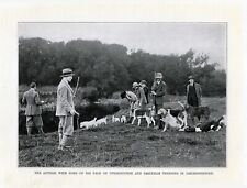 Sealyham terrier otterhound for sale  COLEFORD