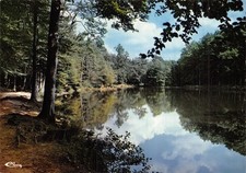 Belleme etang herse d'occasion  France