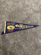 Vintage 1960 rose for sale  Lexington