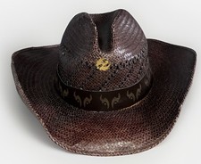 Twister western cowboy for sale  Farmington