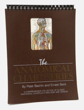 1985 anatomical chart for sale  Fort Mohave