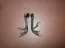 Carrion crow feet for sale  DONCASTER