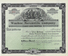 Washoe mercantile company usato  Spedire a Italy
