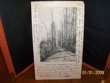 1907 Lovers Lane terra trilha árvores Orangeburg SC Carolina do Sul Rowesville postado, usado comprar usado  Enviando para Brazil