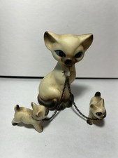 siamese kittens for sale  Napa