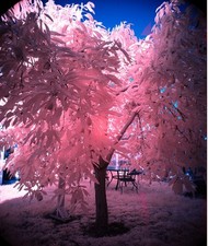 Infrared sony a7r for sale  Hayward
