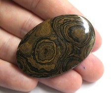 Stromatolite 100 naturel d'occasion  Palaiseau