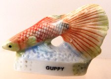 Fève poisson guppy d'occasion  Cloyes-sur-le-Loir