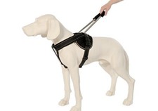 Patento pet jockey gebraucht kaufen  Oberottmarshausen