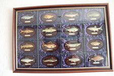 Rare genuine fishermans for sale  TETBURY
