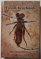 Fossil arachnids spiders for sale  TELFORD