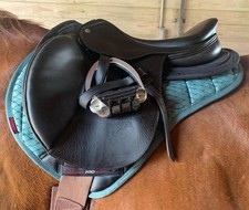 Pessoa exchangeable gullet for sale  Harleysville