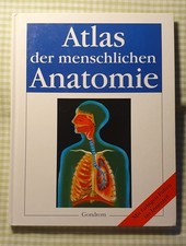 Atlas menschlichen anatomie gebraucht kaufen  Köln