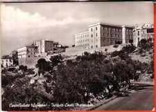 Cartolina castellabate viaggia usato  Italia