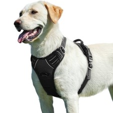 Harnais chien harnais d'occasion  Lyon I