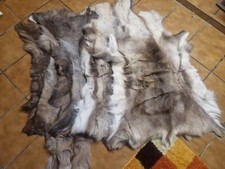 Rentierfell echt gebraucht kaufen  Herxheim