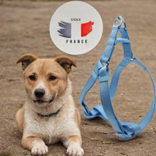 Harnais réfléchissant chien d'occasion  France