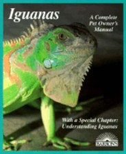 Iguanas everything selection for sale  Sparks