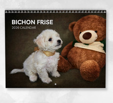 Calendário Bichon Frise 2026: calendário mensal de parede com notas, abre para tamanho A3 comprar usado  Enviando para Brazil