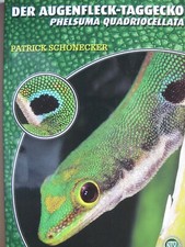 Augenfleck taggecko natur gebraucht kaufen  Krefeld