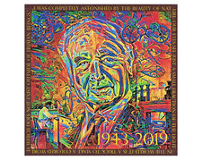 Blotter art albert gebraucht kaufen  Neumünster